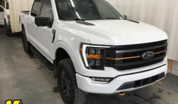 Used 2022 Ford F-150 Tremor 4WD SuperCrew 5.5′ Box Crew Cab Pickup – 1FTEW1E8XNFB87440