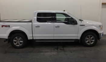 Used 2019 Ford F-150 XLT 4WD SuperCrew 5.5  Box Crew Cab Pickup – 1FTEW1E42KFD54074 full