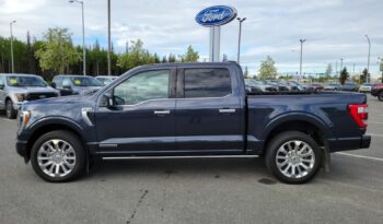 Used 2021 Ford F-150 Limited 4WD SuperCrew 5.5  Box Crew Cab Pickup – 1FTFW1ED5MFC67745 full