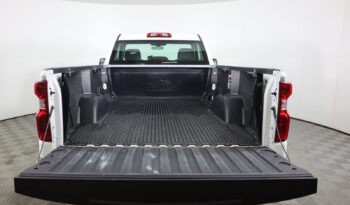 Used 2021 Chevrolet Silverado 1500 Work Truck 4WD Reg Cab 140 Regular Cab Pickup – 3GCNYAEF3MG350046 full