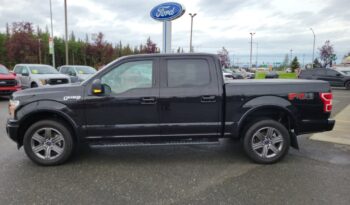 Used 2020 Ford F-150 XLT 4WD SuperCrew 5.5  Box Crew Cab Pickup – 1FTEW1EP3LKF41360 full