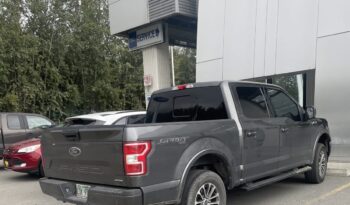 Used 2019 Ford F-150 XLT 4WD SuperCrew 5.5  Box Crew Cab Pickup – 1FTEW1EP0KFD44444 full