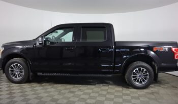 Used 2020 Ford F-150 XLT 4WD SuperCrew 5.5  Box Crew Cab Pickup – 1FTEW1EP5LKF29629 full