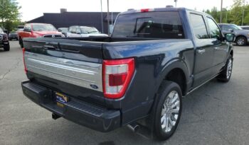 Used 2021 Ford F-150 Limited 4WD SuperCrew 5.5  Box Crew Cab Pickup – 1FTFW1ED5MFC67745 full