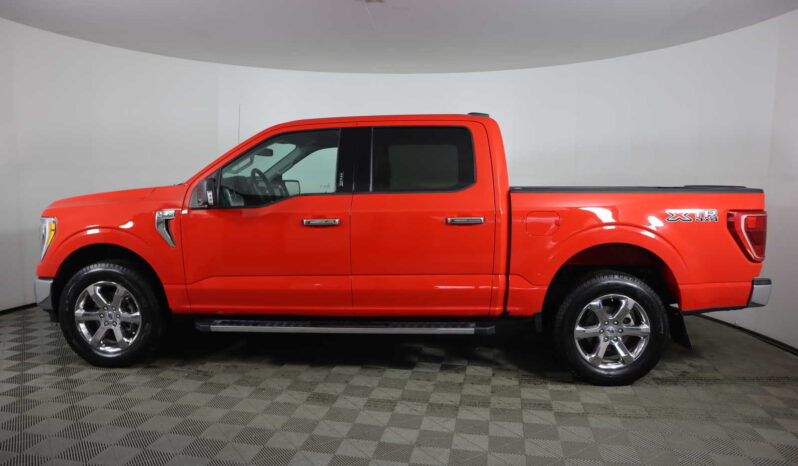 Used 2021 Ford F-150 XLT 4WD SuperCrew 5.5  Box Crew Cab Pickup – 1FTEW1EP2MKD67492 full