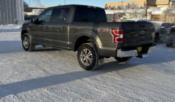 Used 2019 Ford F-150 LARIAT 4WD SuperCrew 5.5  Box Crew Cab Pickup – 1FTEW1EP0KKE90446 full