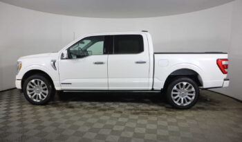 Used 2022 Ford F-150 Limited 4WD SuperCrew 5.5  Box Crew Cab Pickup – 1FTFW1ED8NFA87693 full